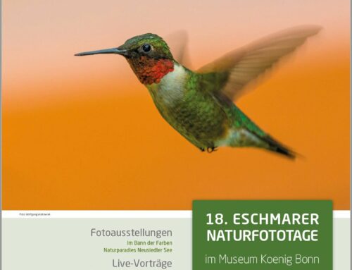 Die 18. Eschmarer Naturfototage 2023 waren am 25. und 26. März 2023 Museum Koenig – Bonn