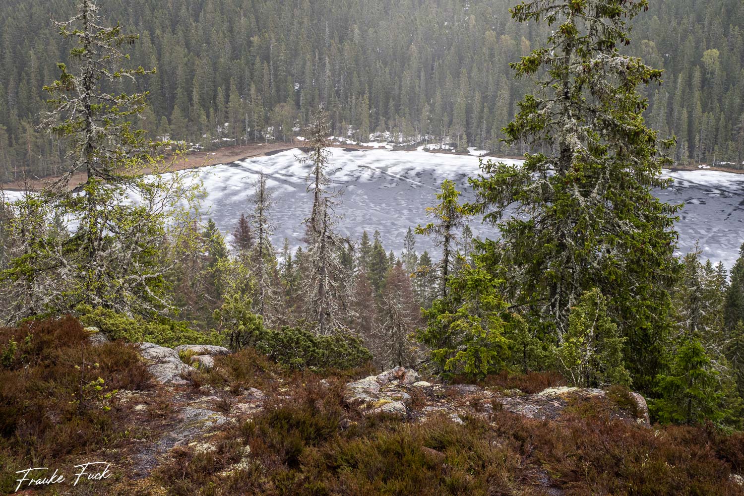 zugefrorener See NP Skuleskogen