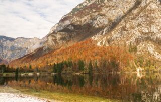 Bohinj