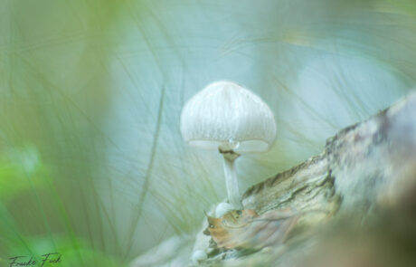 November 2025 November 2025